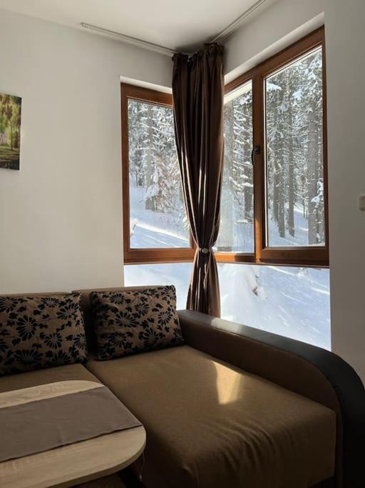 Forest Place Leilighet Pamporovo Eksteriør bilde